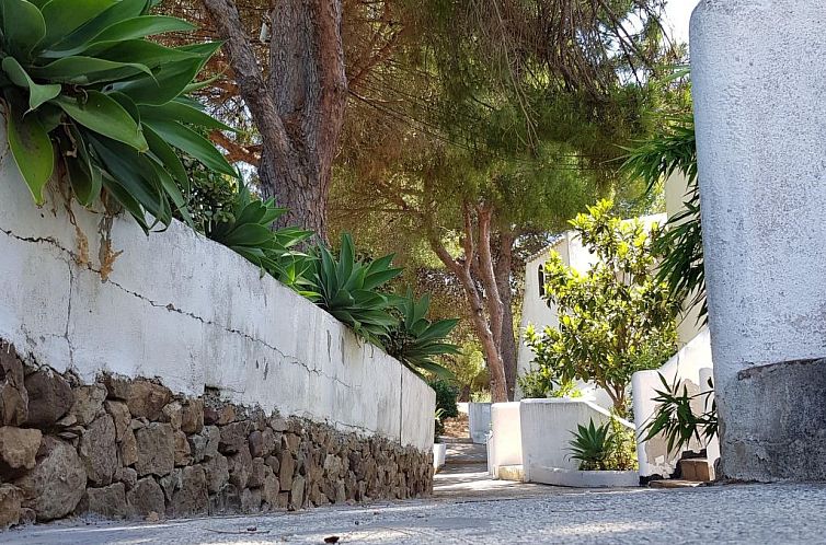 Appartement Der Ort des Lichts