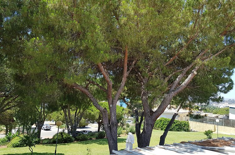 Appartement Der Ort des Lichts