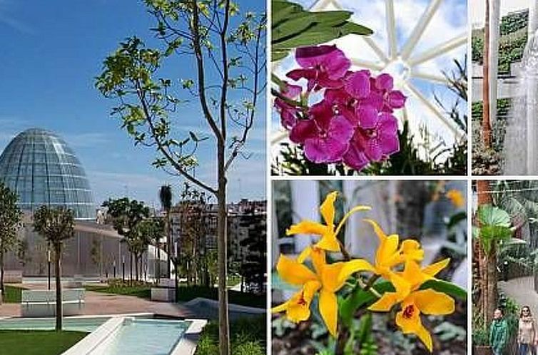 Appartement Gemütliche Ferienwohnung im Zentrum von Estepon