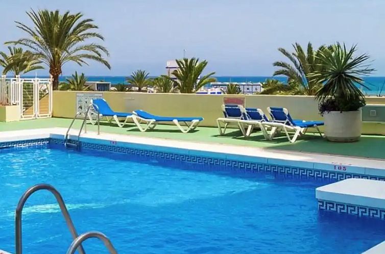 Palmeras Puerto Paraiso Estepona