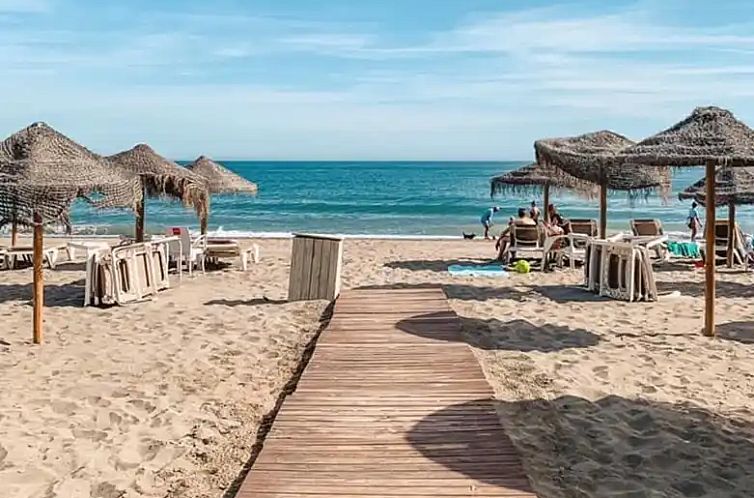 Palmeras Puerto Paraiso Estepona