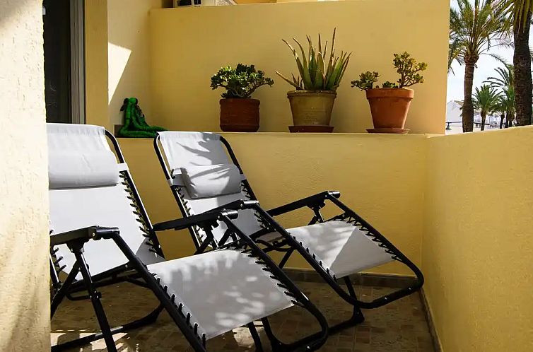 Palmeras Puerto Paraiso Estepona