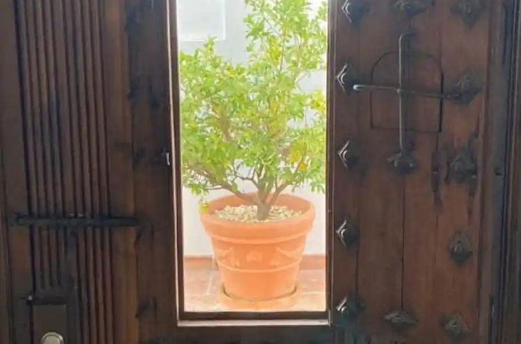 Casa Rosado