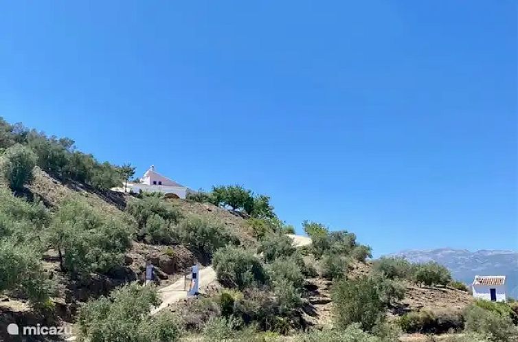 Los Pajaros