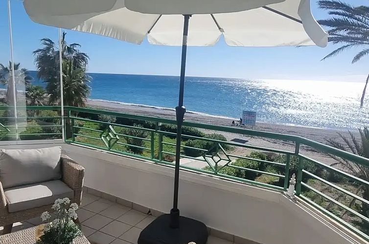 Wild Palms Apartment