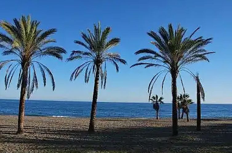 Las Olas 14