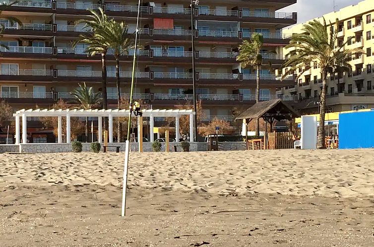 Palm Beach