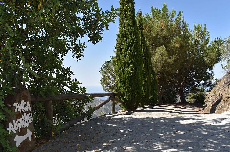 Vakantiehuis Finca Algarabia mit privatem Pool