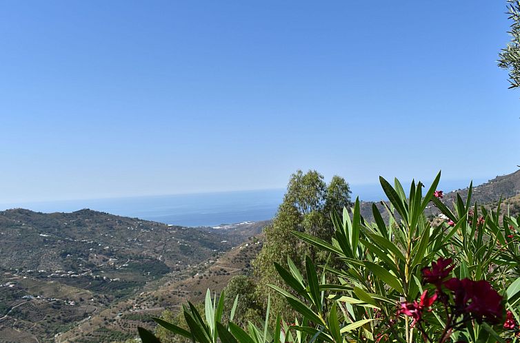 Vakantiehuis Finca Algarabia mit privatem Pool