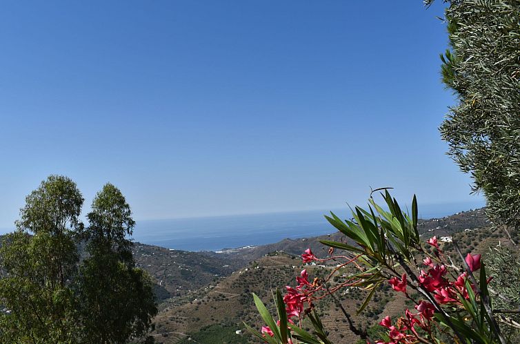 Vakantiehuis Finca Algarabia mit privatem Pool