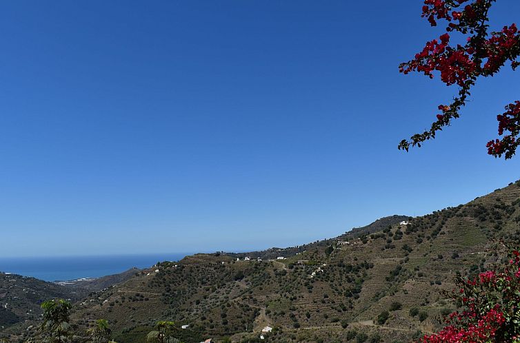 Vakantiehuis Finca Ortiz mit privatem Pool