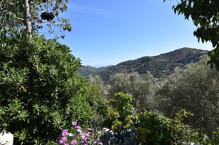 Vakantiehuis Finca El Corinto - Ein verwunschener Ort