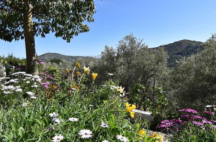 Vakantiehuis Finca El Corinto - Ein verwunschener Ort