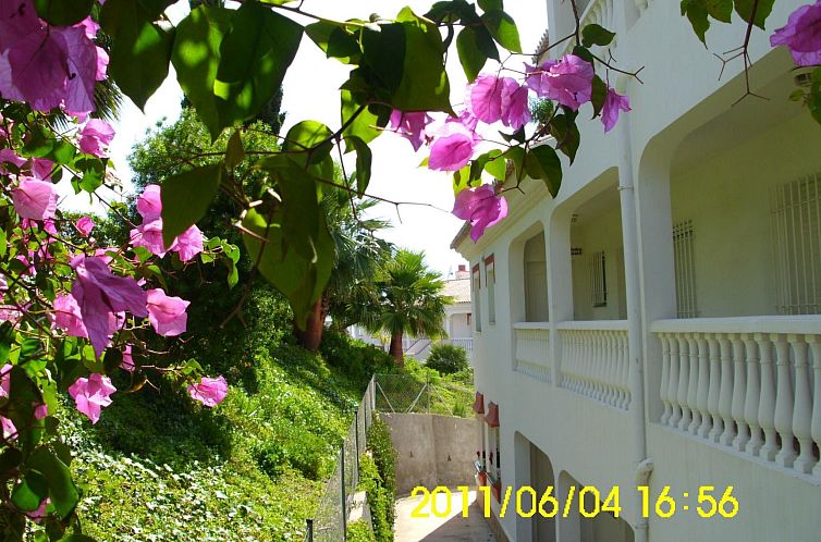 Appartement Casa Angelika