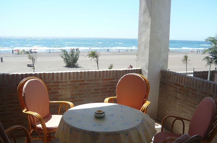 Unterkunft 1558221 - Appartement Costa del Sol - Appartement Appartement in Torrox Costa mit Großem gemeinsa