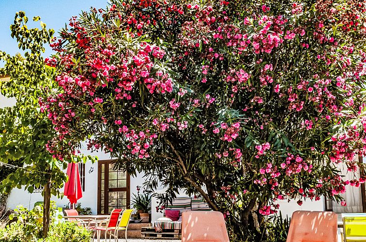 Vakantiehuis Nido Aguila Blanca
