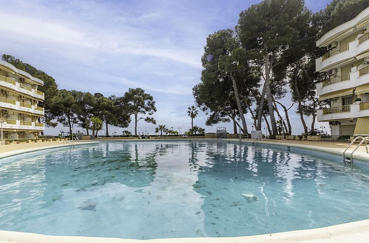 Appartement International