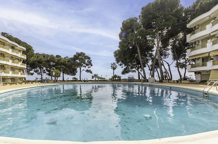 Appartement International