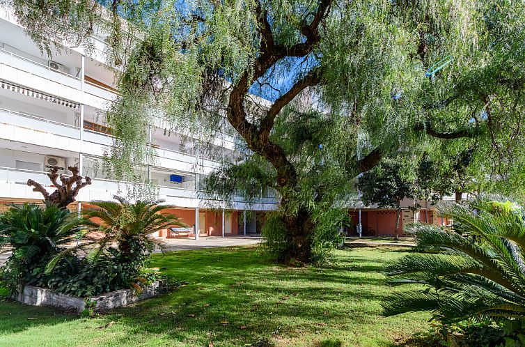 Appartement Manacor