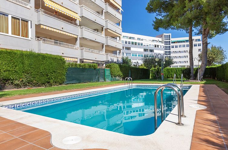Unterkunft 15631118 - Appartement Costa Dorada - Appartement Miranda