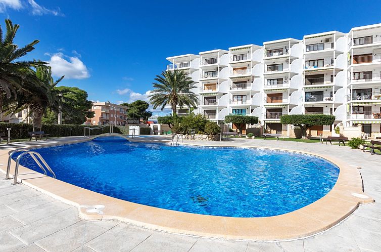 Appartement Las Mimosas