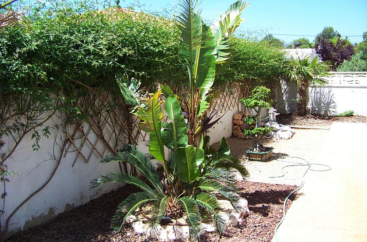 Vakantiehuis Villa Roberto