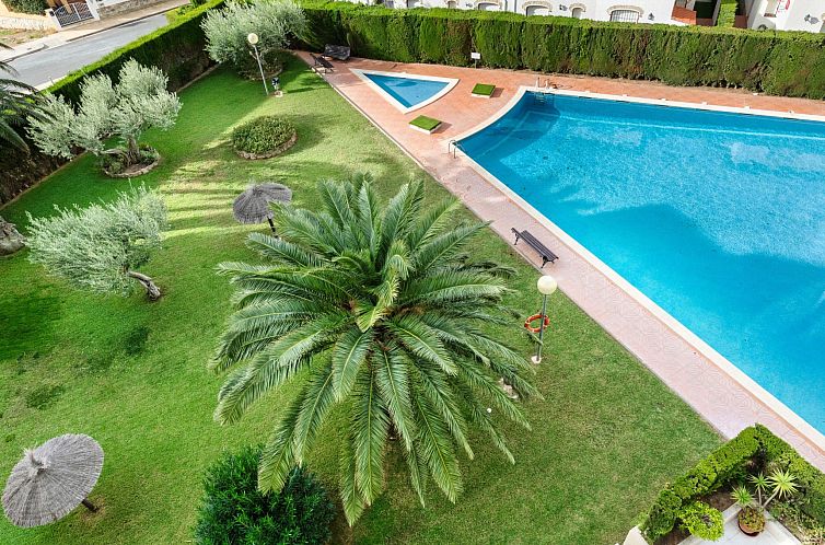 Appartement Los Pelicanos