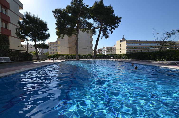 Appartement Mariposa