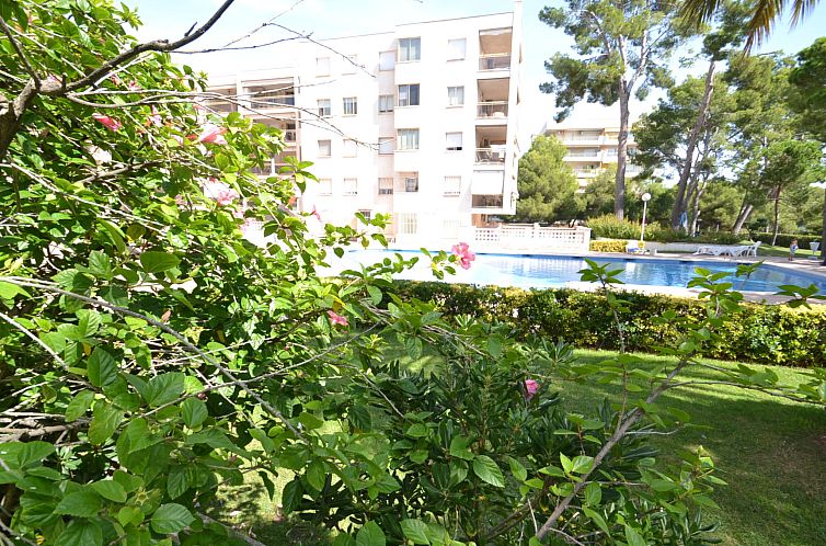 Appartement Cala Dorada
