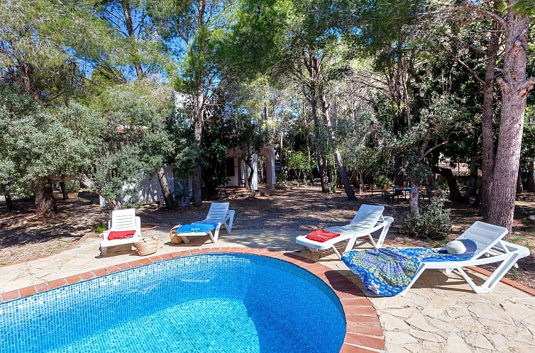 Vakantiehuis Villa Pinos