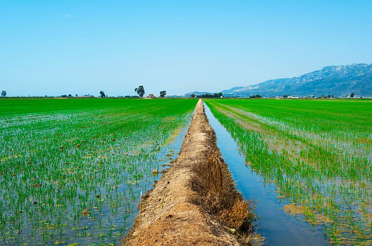 Vakantiehuis Salvagina 15