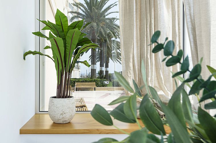 Appartement Paradis Playa