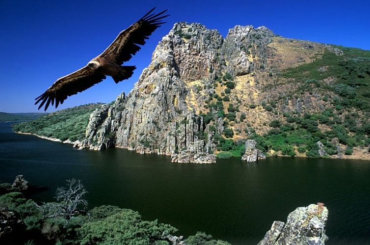 Vakantiehuisje in Casas Del Monte