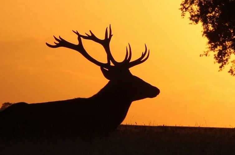 Vakantiehuisje in Casas Del Monte