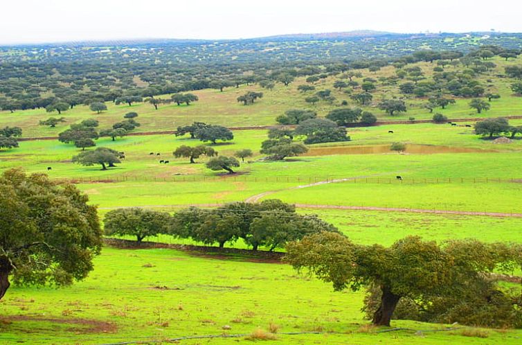 Vakantiehuisje in Casas Del Monte