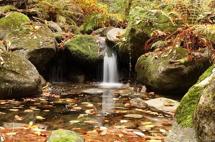 Huisje in Casas Del Monte