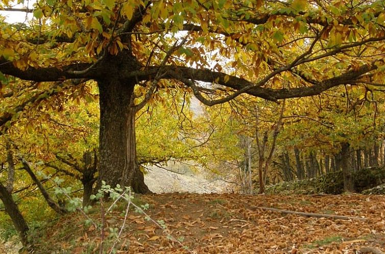 Huisje in Casas Del Monte