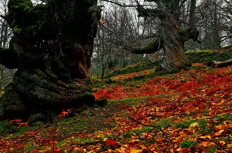 Huisje in Casas Del Monte