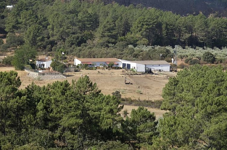 Vakantiehuisje in Alcuéscar