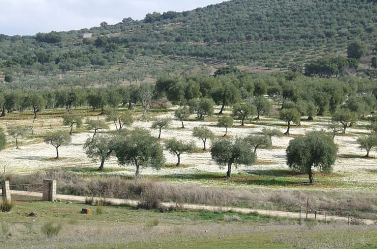 Vakantiehuisje in Alcuéscar