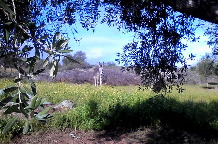 Vakantiehuisje in Alcuéscar