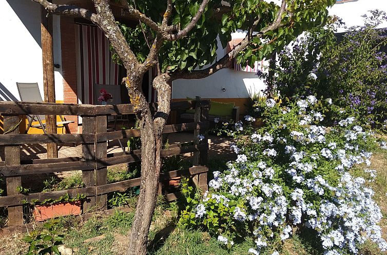 Appartement Finca El Chorrillo Studio