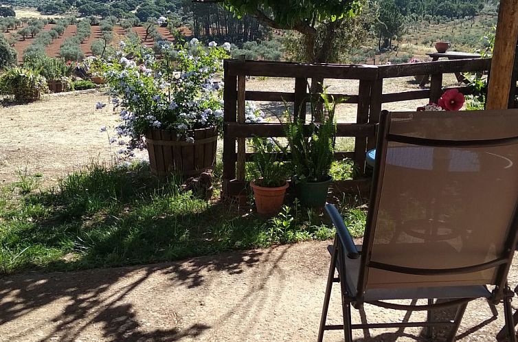 Appartement Finca El Chorrillo Studio