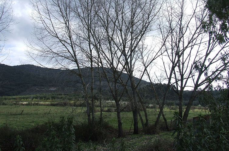 Appartement Finca El Chorrillo Studio