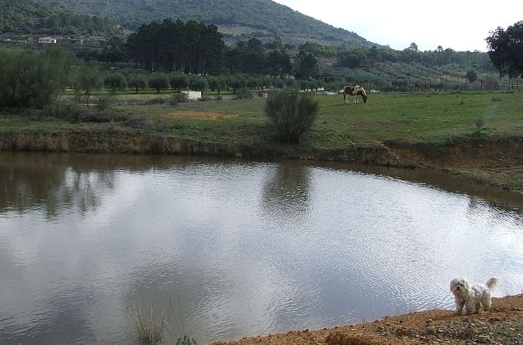 Appartement Finca "El Chorrillo" mit gemeinschaftlichem Pool