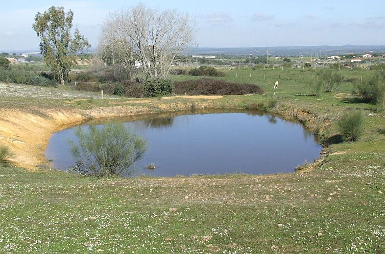 Appartement Finca "El Chorrillo" mit gemeinschaftlichem Pool