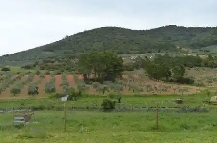 Unterkunft 15711307 - Appartement Extremadura - Finca El Chorrillo Studio