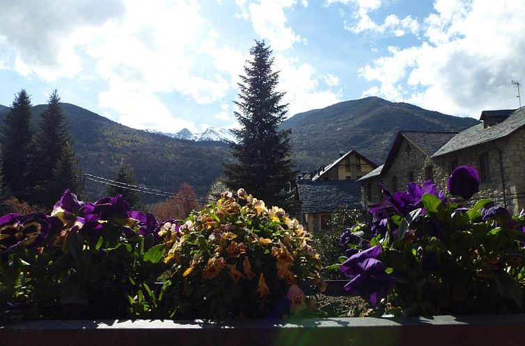 Hotel Vall d´Aneu