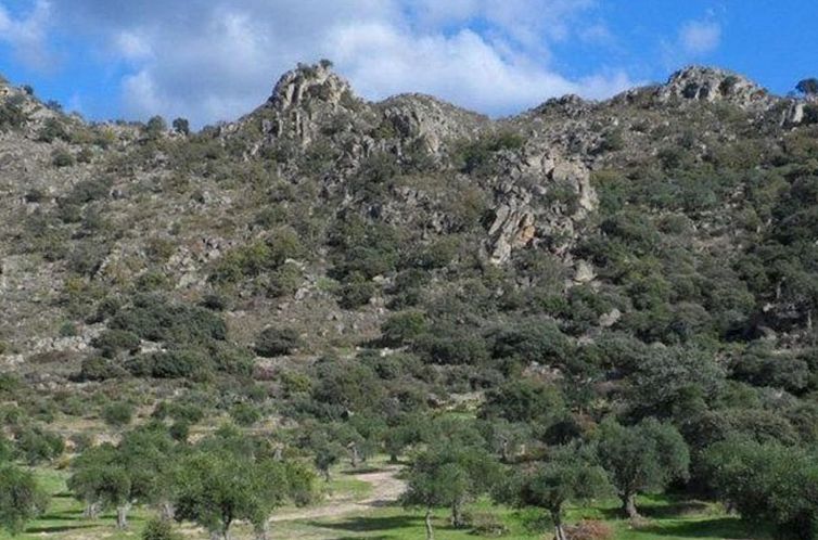 Vakantiehuis The Barn at Finca al-manzil
