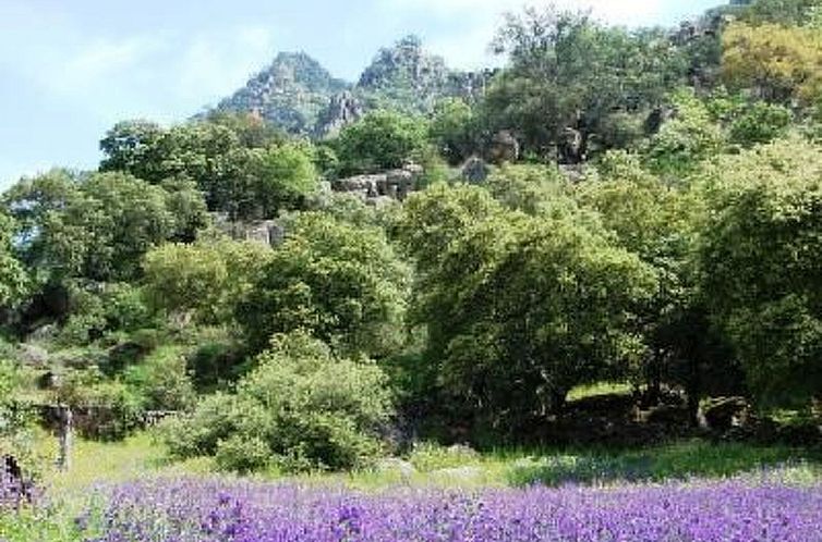 Vakantiehuis Das Cortijo auf der Finca al-manzil